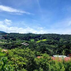 Sicht von unserer Terrasse ins grüne Costa Rica