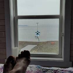 GOOD MORNING FROM ROBIN'S COVE