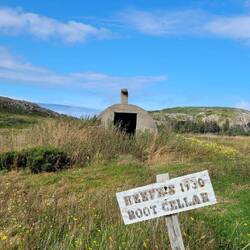 LEFT OVER CELLARS FROM LONG- GONE COTTAGES AT LITTLE HARBOUR