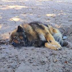 Keiner da zum spielen...