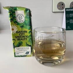 Chrysanthemum tea - yum!