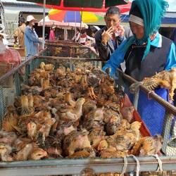 Sorgfältig wird hier ausgewählt