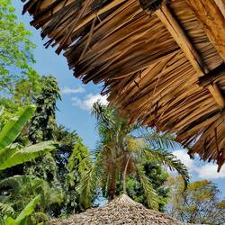 Lodge garden impression!