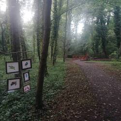 Abendspaziergang durch den Kurpark