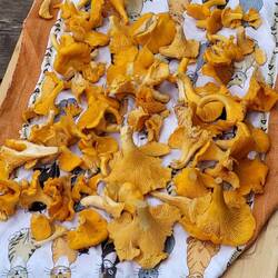 Gar nicht so schlecht. 😋