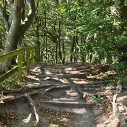Het laatste stukje struikelparcours.