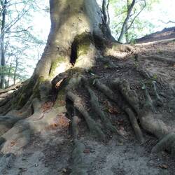 En dan over de kliffen terug.