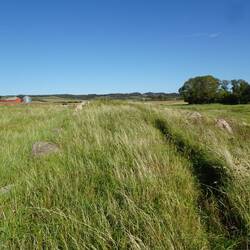Maar van dichtbij zie je er niet zoveel van, de stenen zijn verborgen in het gras.