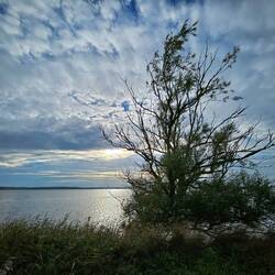 Zooooo mooi vanavond!