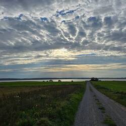 Helemaal naar het uiterste puntje van het eiland rijden.