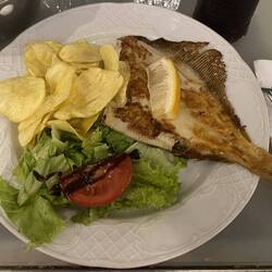Grilled sole with salad