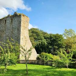 Drumin Castle Walled Orchard