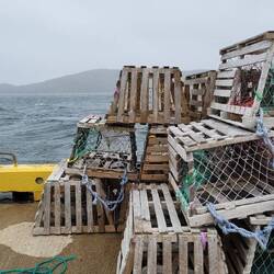 THE DOCKS AT DOYLE SANSOME'S, THIS WAS DEFINITELY THE FRESHST SEAFOOD WE HAVE EATEN THIS TRIP!