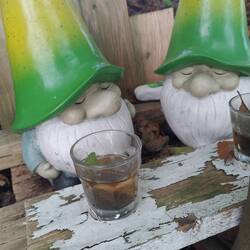 Die Zwerge von Fehndorf