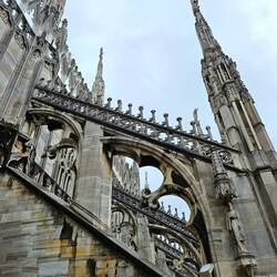 View from lower roof upwards