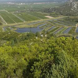 Letzter Blick auf das äusserst fruchtbare Neretva-Delta