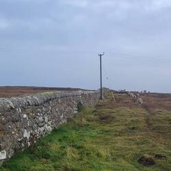 You may have to zoom in but a whole lot of sheep strolled past us.
