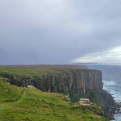 Just outside the front window of our camper