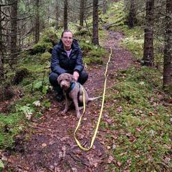 Der Auf- und Abstieg.