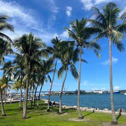 Views of Biscayne Bay