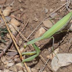 Fast drüber gestolpert...😅