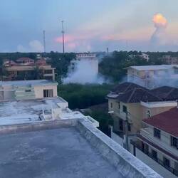 so wie ich später erfahren habe, machen die dies, um die Mücken zu verschäuchen