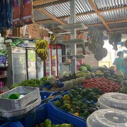 zurück im Colmado el padron