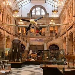 Modern-day hunting technique