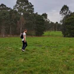 Wieder mal auf Safari