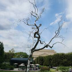 Sculpture Garden - National Gallery