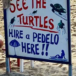 ...and! We did! 🐢🐢🐢🐢