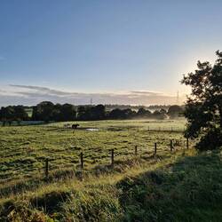 Beautiful misty morning