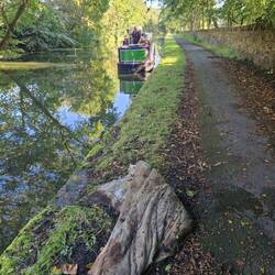The engine made a dodgy noise and puffed smoke when this got tangled in the prop