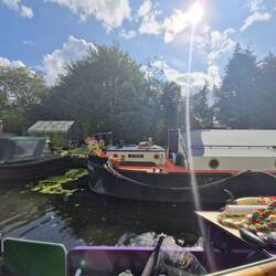 Calm whippets enjoying the sunshine. Ours wouldn't be so relaxed about a passing boat