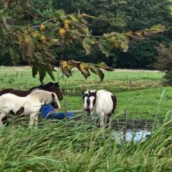 A wonderful view for Vicky at our mooring spot