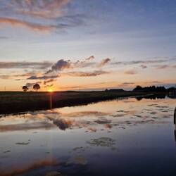 Happy to see the sun again after days of rain and wind