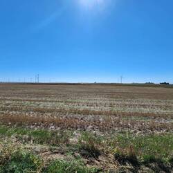 Man, the plains are flat