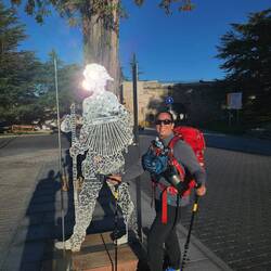 My blingy pilgrim friend in Burgos.