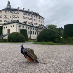 Outside Schloss Ambras