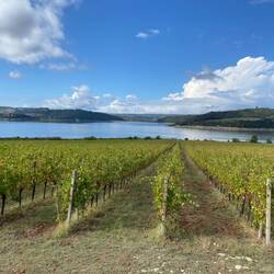 Lago di Corbara