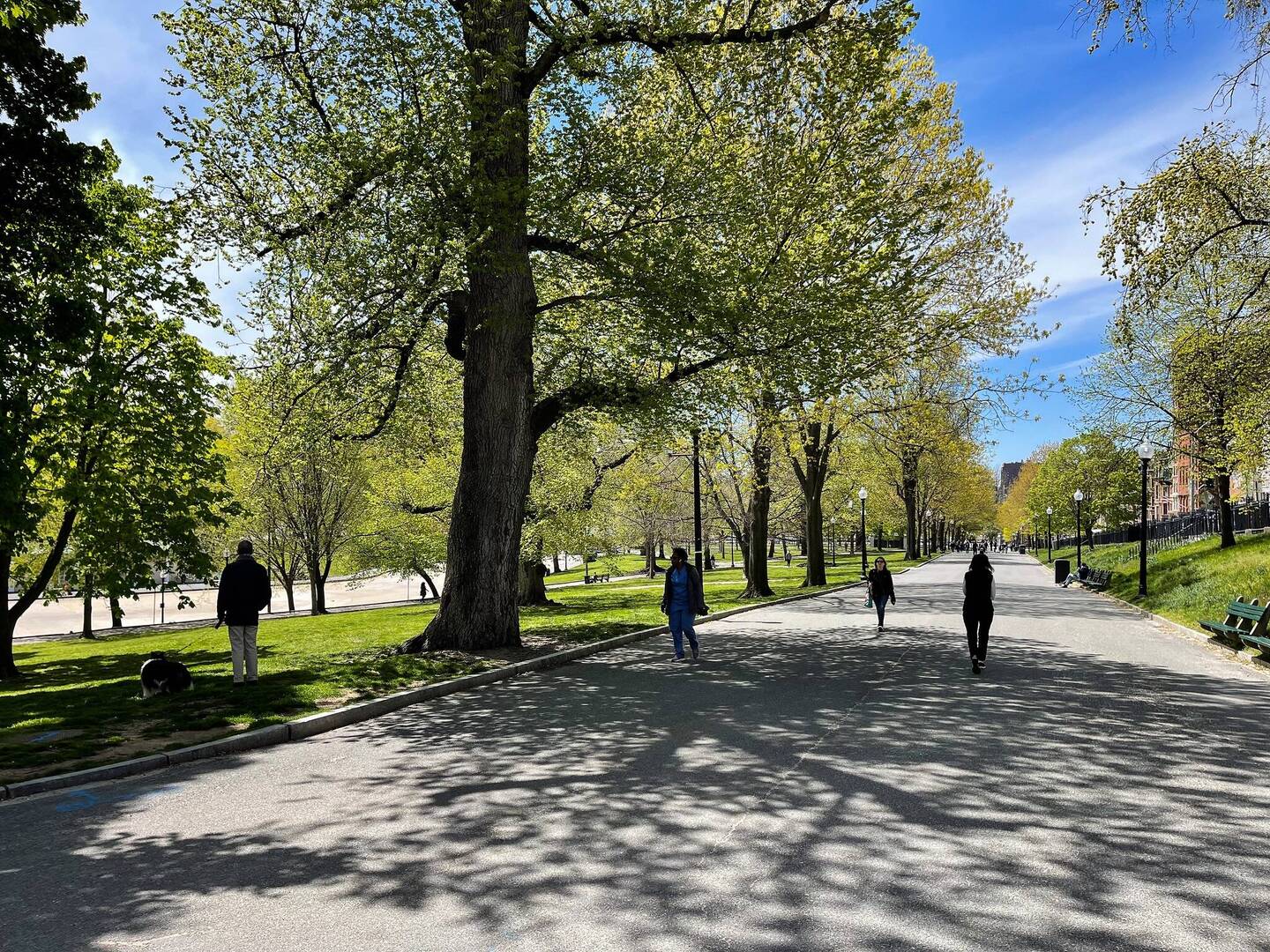 I entered from the back, apparently