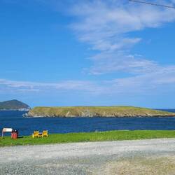 Have you see the Rick Mercer Report with the sheep on the island? This is the island, and the sheep!