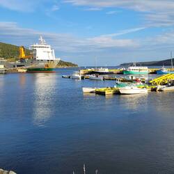 Bay Bulls. I love marinas. The whale tour boats leave from this port.