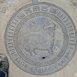 Noch ein Yak auf der Fahrbahn