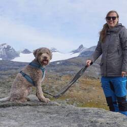 Immer noch Fantesteinen