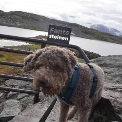 Cosimo war zu aufgeregt für ein schönes Bild