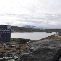 Ganz oben angekommen