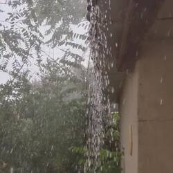 Dr Räge vo obe und vor Site🙈🤣