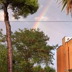 Wenns jetzt de no chunnt cho schneien denn weiss ig de au nüm witer🤷‍♀️🤪