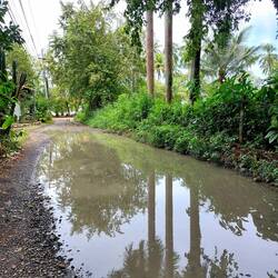 Es regnet häufig und die Strassen verwandeln sich zu kleine Seen 😅